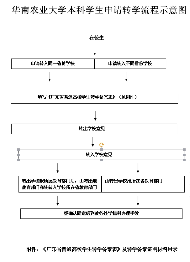 太阳成集团tyc151cc本科生申请转学流程.jpg